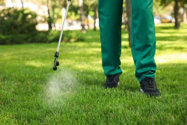 Best Wildlife Control Services  in Holly Hill, FL