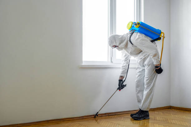 Best Affordable Pest Control Services  in Holly Hill, FL