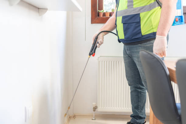 Professional Pest Control in Holly Hill, FL