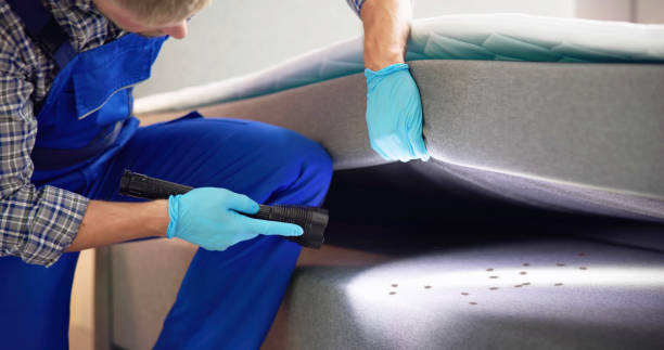 Best Cockroach Control Services  in Holly Hill, FL