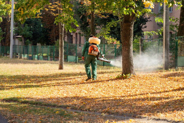 Best Best Pest Control Companies  in Holly Hill, FL